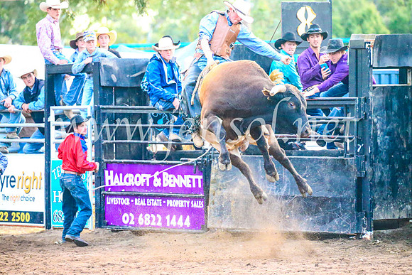 CoonambleRodeoCampdraftSun_5405