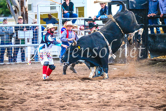 CoonambleRodeoCampdraftSun_5358