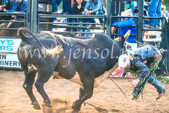 CoonambleRodeoCampdraftSun_5231