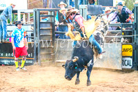 CoonambleRodeoCampdraftSun_5180