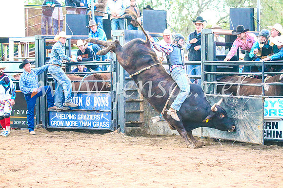 CoonambleRodeoCampdraftSun_5247