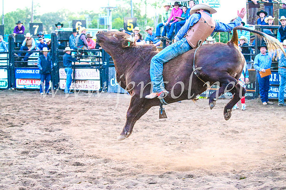 CoonambleRodeoCampdraftSun_5604