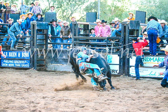 CoonambleRodeoCampdraftSun_5648