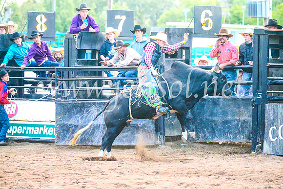 CoonambleRodeoCampdraftSun_5440