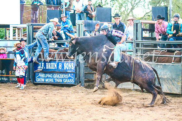 CoonambleRodeoCampdraftSun_5257