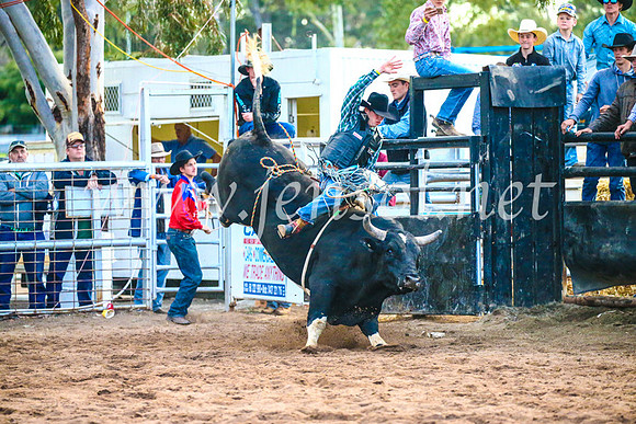 CoonambleRodeoCampdraftSun_5308