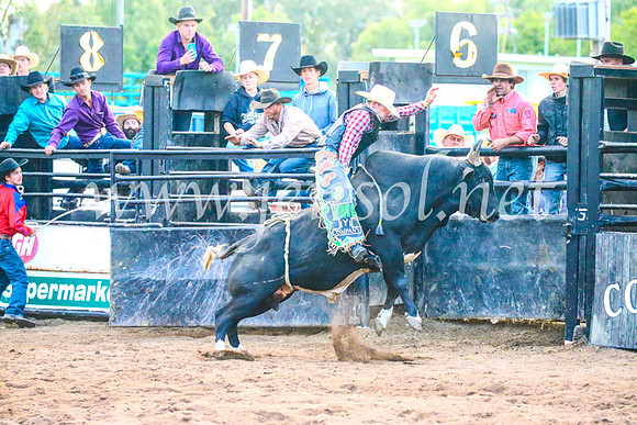 CoonambleRodeoCampdraftSun_5439