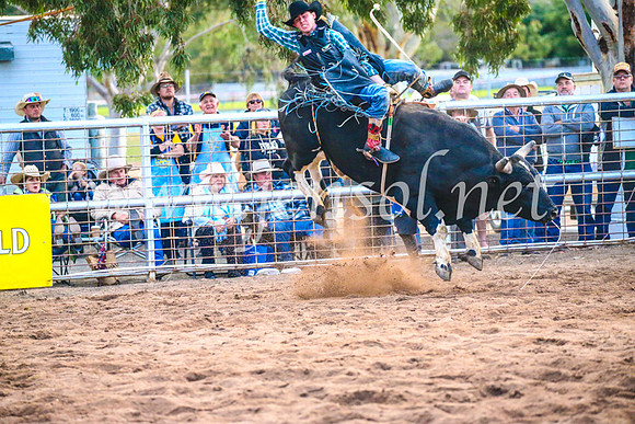 CoonambleRodeoCampdraftSun_5336