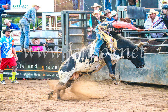 CoonambleRodeoCampdraftSun_5164