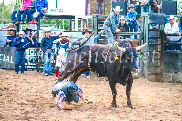 CoonambleRodeoCampdraftSun_5261