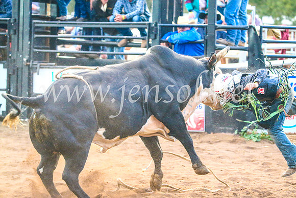 CoonambleRodeoCampdraftSun_5230