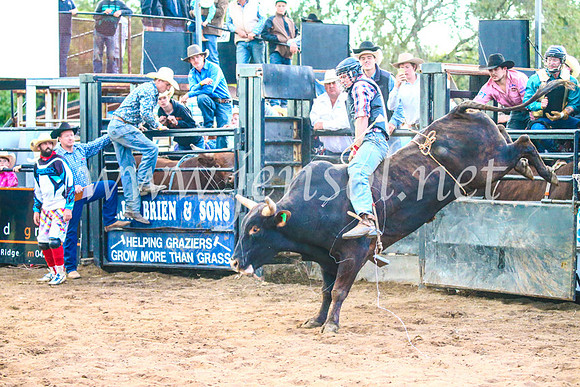 CoonambleRodeoCampdraftSun_5240