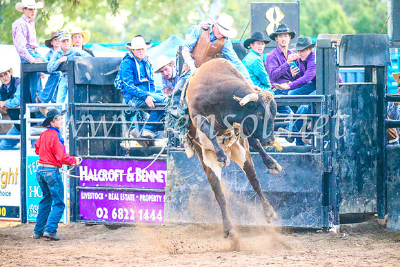 CoonambleRodeoCampdraftSun_5398