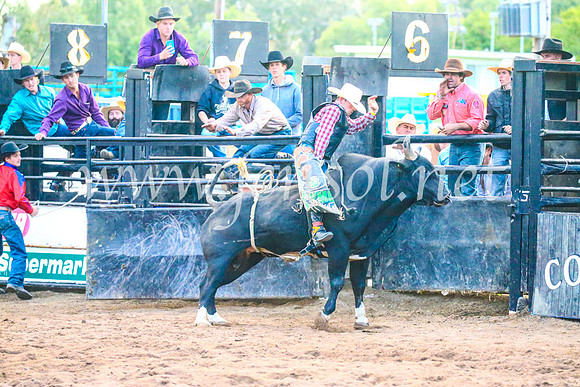 CoonambleRodeoCampdraftSun_5441
