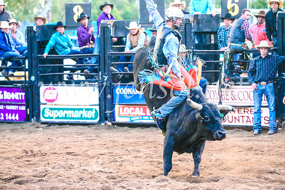 CoonambleRodeoCampdraftSun_5519