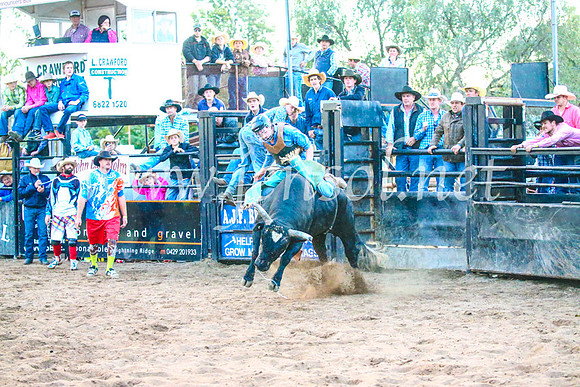 CoonambleRodeoCampdraftSun_5640