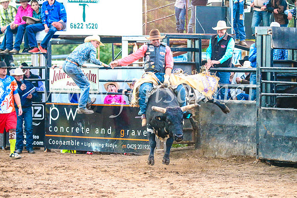 CoonambleRodeoCampdraftSun_5149