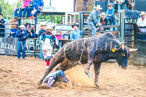 CoonambleRodeoCampdraftSun_5263