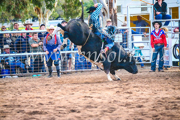 CoonambleRodeoCampdraftSun_5315