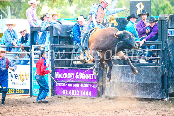 CoonambleRodeoCampdraftSun_5406