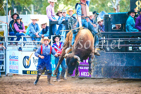CoonambleRodeoCampdraftSun_5418
