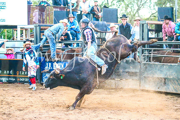 CoonambleRodeoCampdraftSun_5254
