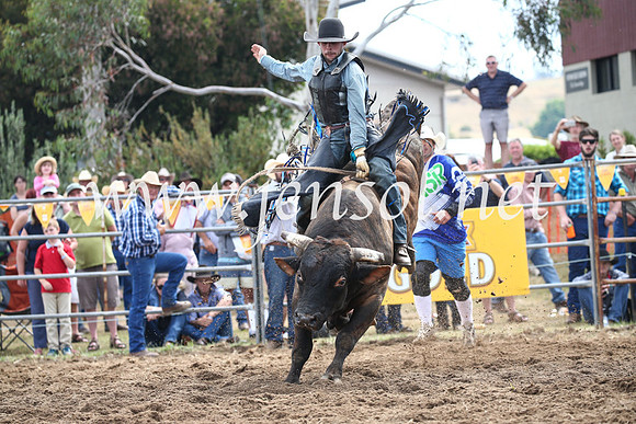 JindabyneRodeo2016_3354