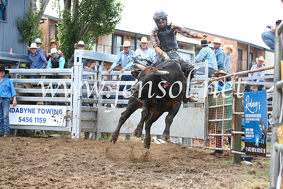 JindabyneRodeo2016_3251