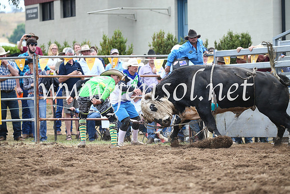 JindabyneRodeo2016_3198