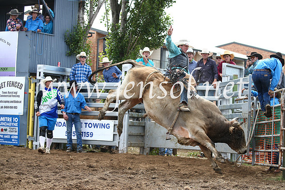 JindabyneRodeo2016_3398