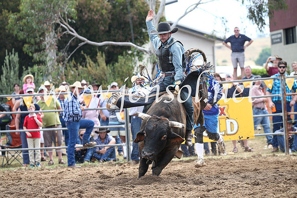 JindabyneRodeo2016_3370