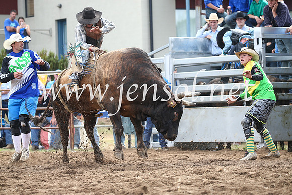 JindabyneRodeo2016_3322
