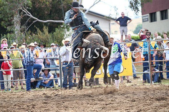 JindabyneRodeo2016_3353