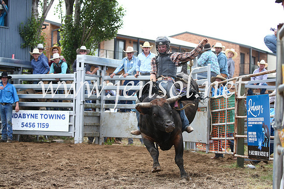 JindabyneRodeo2016_3268