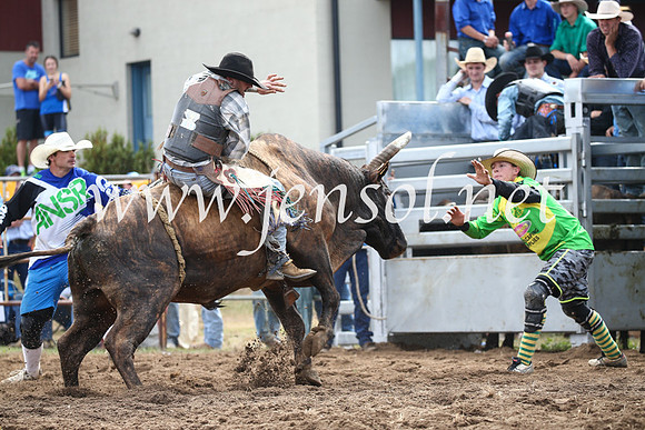 JindabyneRodeo2016_3320