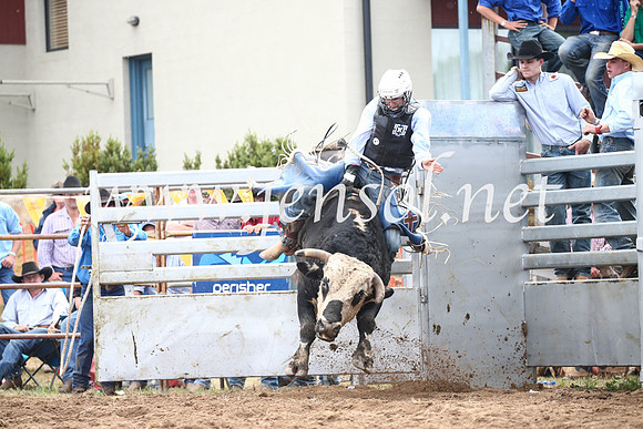 JindabyneRodeo2016_3165