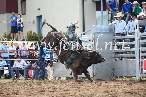 JindabyneRodeo2016_3339
