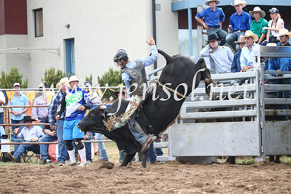 JindabyneRodeo2016_3147
