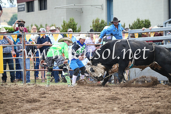 JindabyneRodeo2016_3201