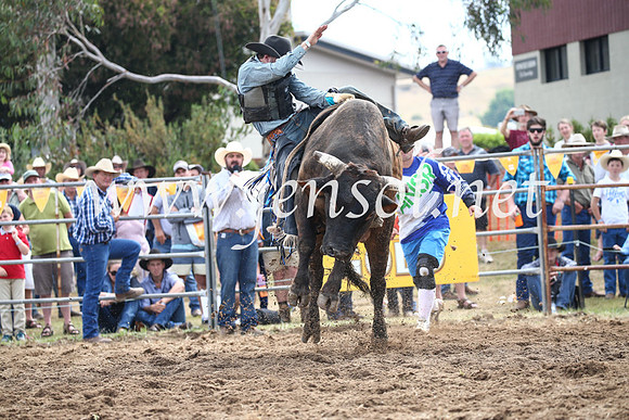 JindabyneRodeo2016_3351