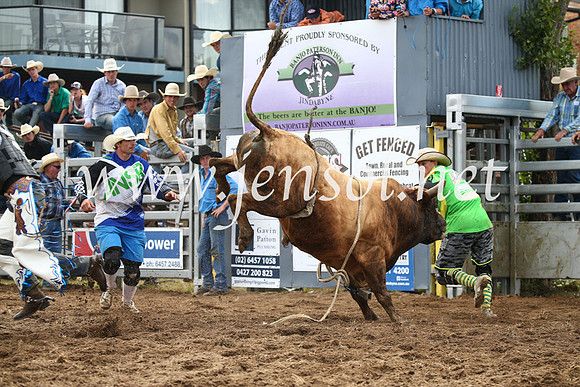 JindabyneRodeo2016_3487