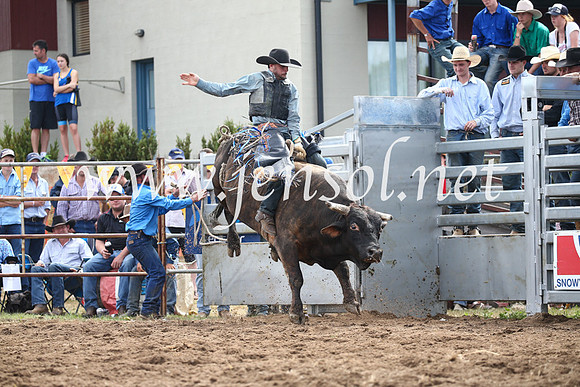 JindabyneRodeo2016_3328