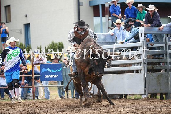 JindabyneRodeo2016_3313