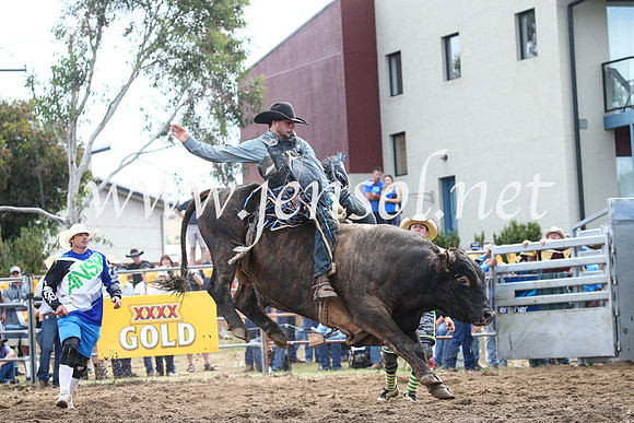 JindabyneRodeo2016_3362