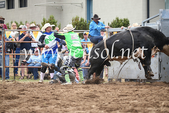 JindabyneRodeo2016_3188