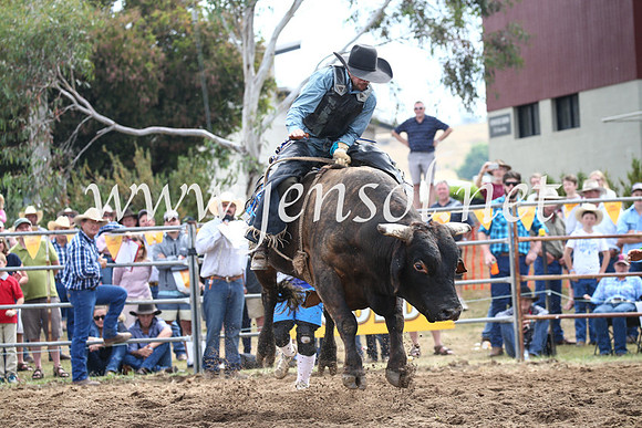 JindabyneRodeo2016_3375