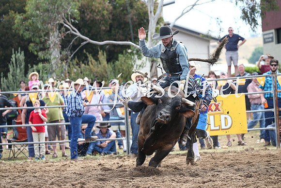 JindabyneRodeo2016_3371