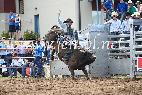JindabyneRodeo2016_3338