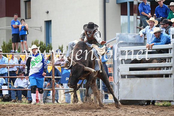 JindabyneRodeo2016_3303