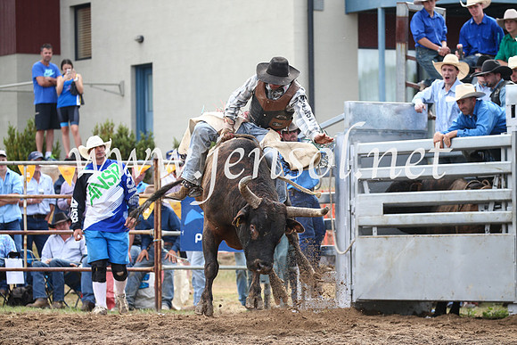 JindabyneRodeo2016_3307